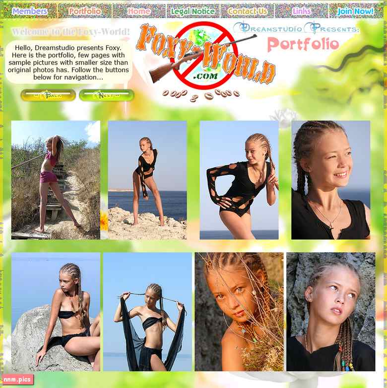 1288: Dream Studio – Foxy World (sets 01-153)