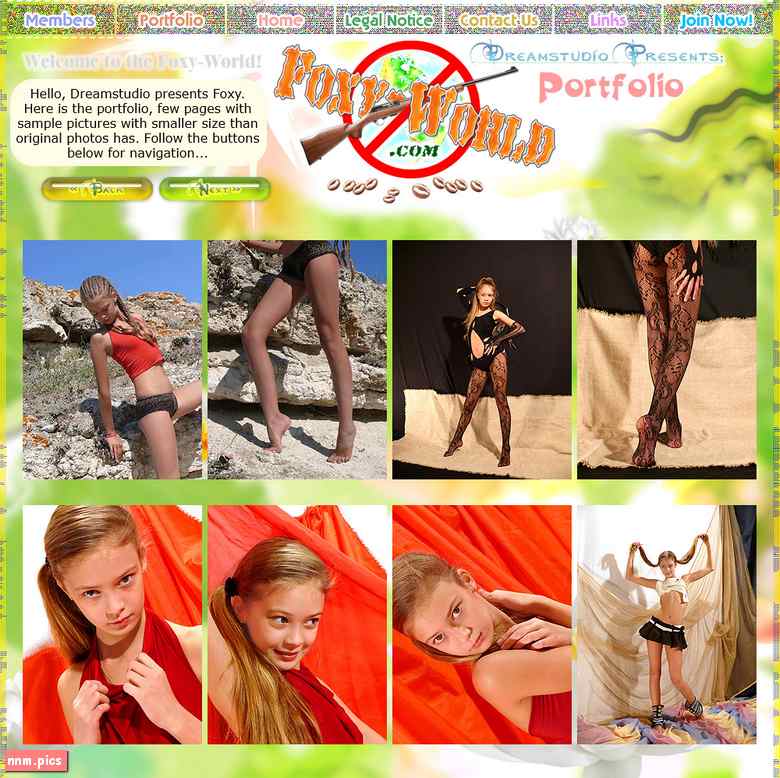 1288: Dream Studio – Foxy World (sets 01-153)