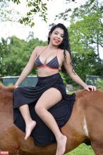 1322: Shiny Flowers – Betsy (24 sets)